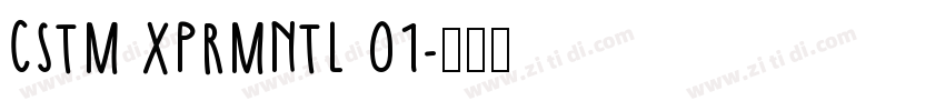CSTM XPRMNTL 01字体转换